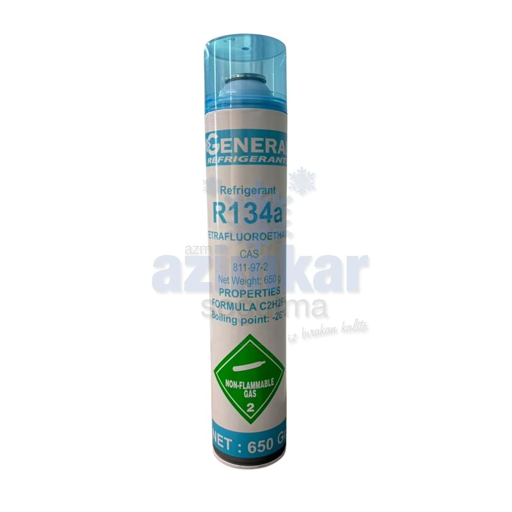 R134A GENERAL GAZ 650 GR. MİNİ