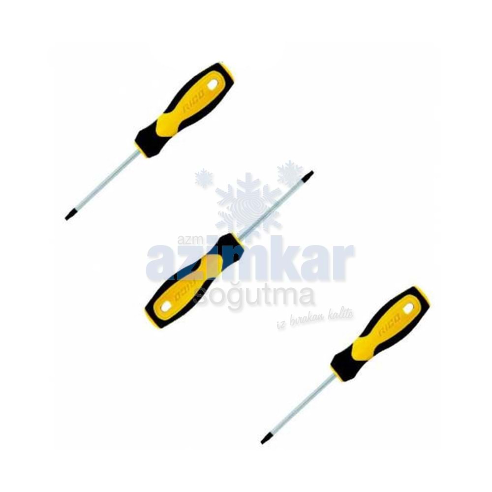 TORX TORNAVİDA T-25 RİCO