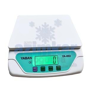 R600 SOĞUTUCU GAZ TERAZİSİ 25 KG YABAN