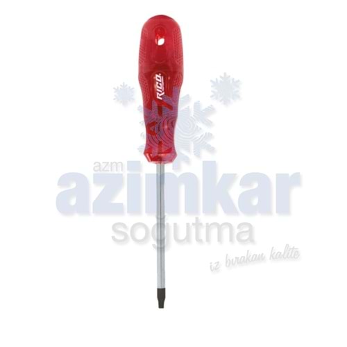 TORX TORNAVİDA T-30 BAY-TEC